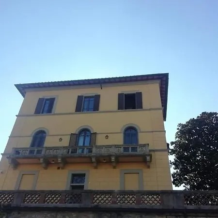 Socini Liberty